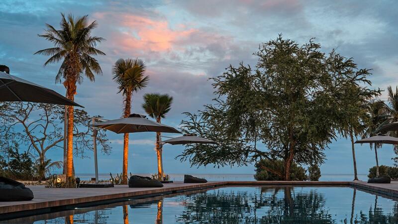 The Funny Lion - Puerto Princesa, Palawan