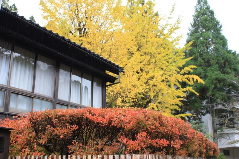 Motoyu Ishiya, Kanazawa