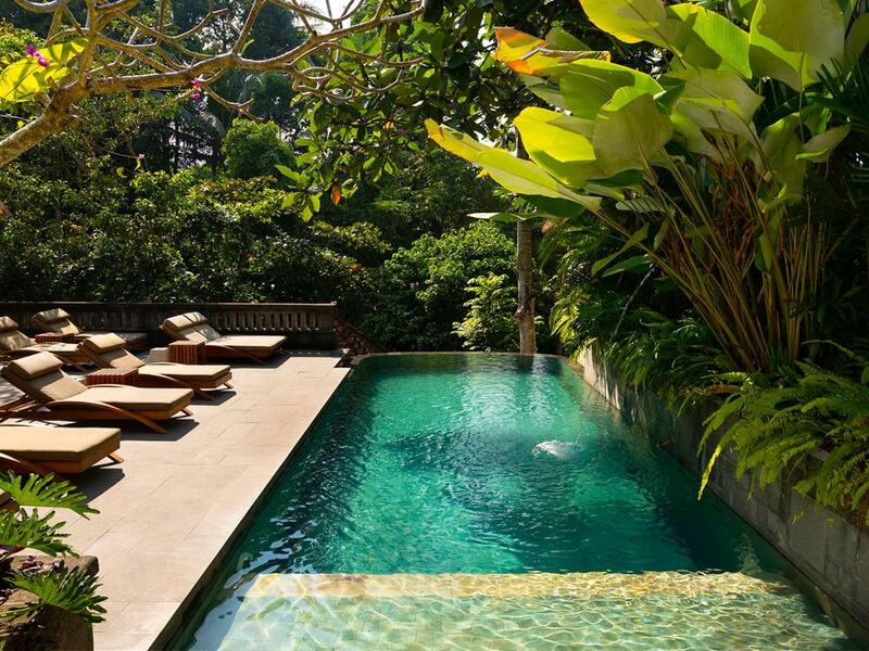 30 Best Hotels in Ubud (Luxury, 5-Star, Boutique)