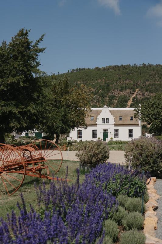 Rickety Bridge Estate, Franschhoek