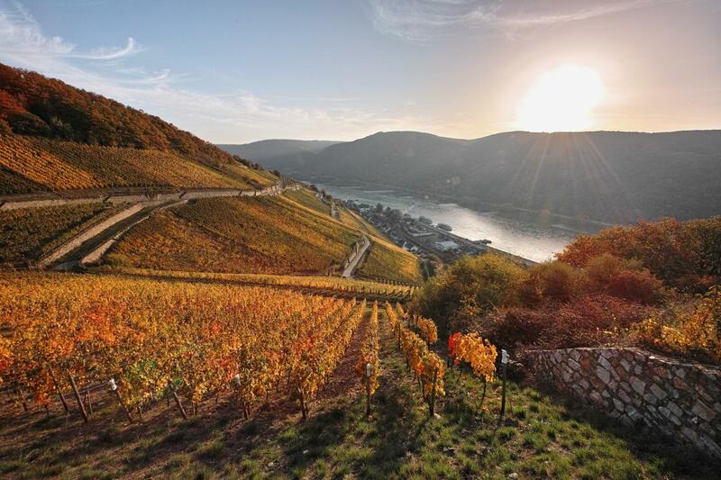 Breuer's Rüdesheimer Schloss, Taunus