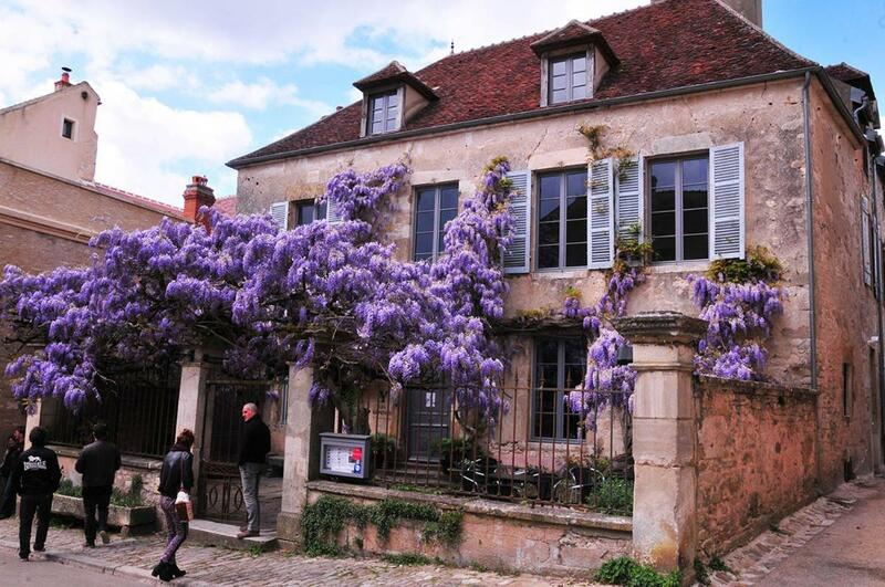 Les Glycines Vézelay, Yonne
