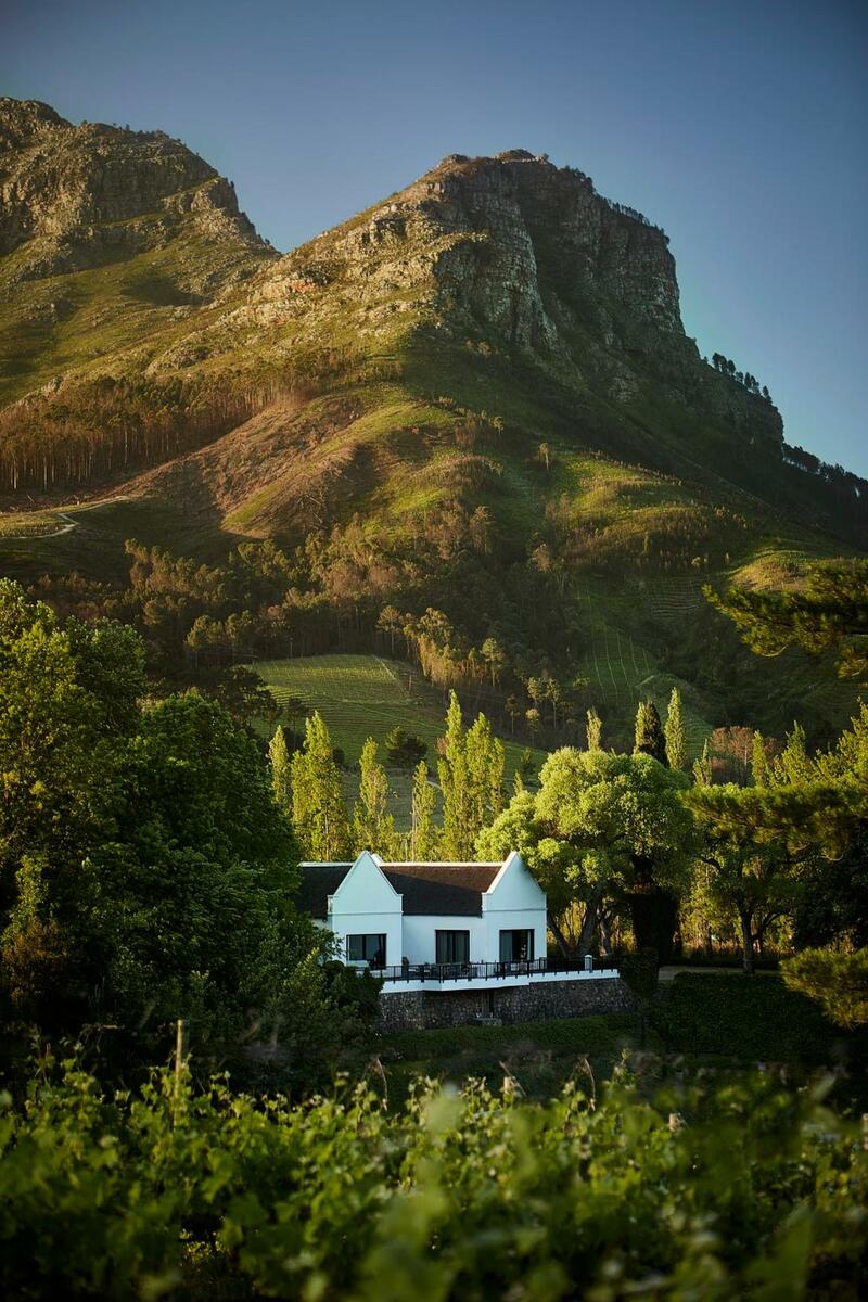 MolenVliet Estate - Boutique Bed & Breakfast, Stellenbosch