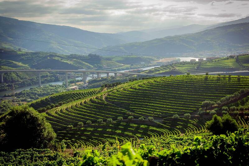 Quinta do Vallado - Douro Wine Hotel, Douro Valley