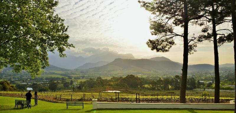 La Petite Ferme, Cape Winelands