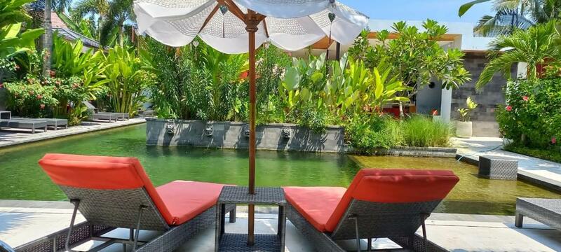 Le Chien Rouge, Lovina