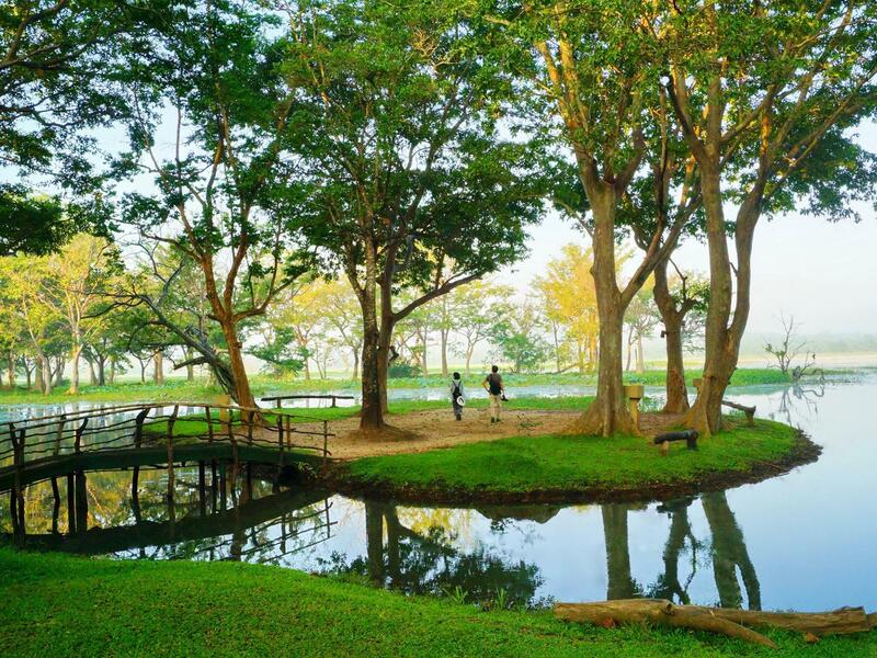 Cinnamon Lodge Habarana, Sigiriya