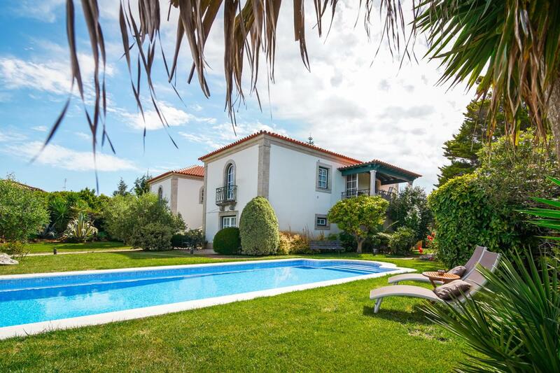 Rinoterra Minho, Minho