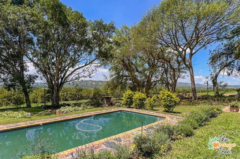 The Orange Tree Guest House, Nelspruit