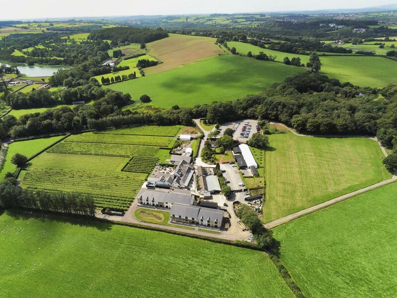 Llanerch Vineyard Hotel, Wales