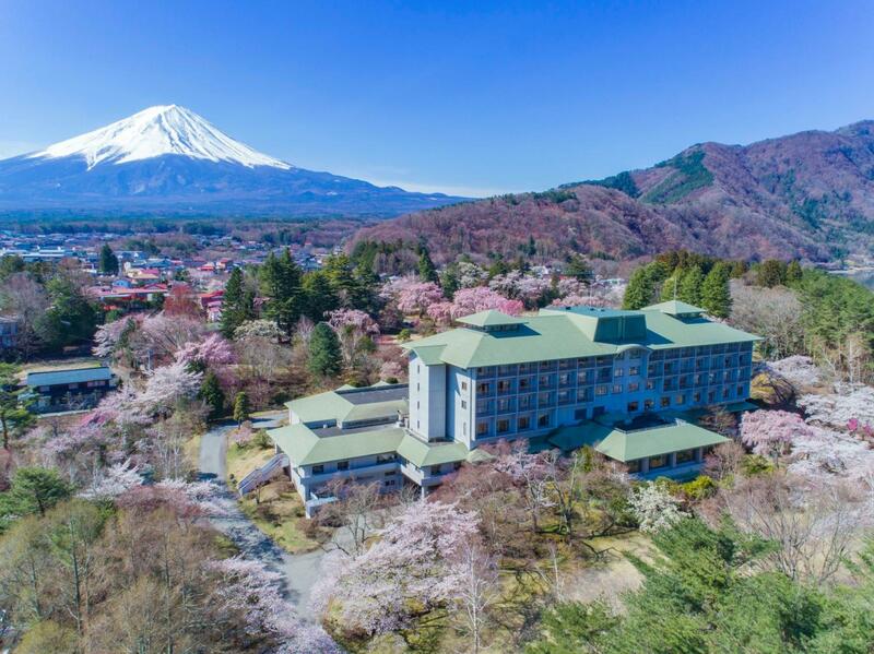 Fuji View Hotel, Mount Fuji