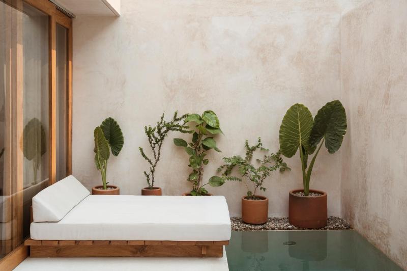 Lunaya, Puerto Escondido