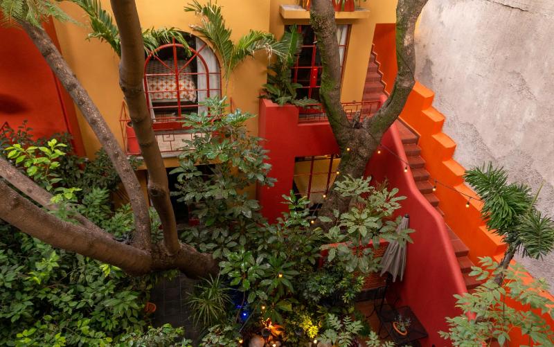 The Red Tree House, Mexico City