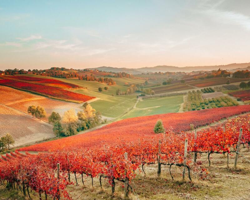 Agriturismo Opera 02, Emilia-Romagna